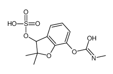 (2,2-dimethyl-3-sulfooxy-3H-1-benzofuran-7-yl) N-methylcarbamate Structure