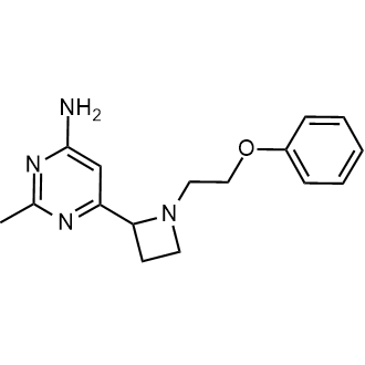 2-甲基-6-(1-(2-苯氧基乙基)氮杂环丁烷-2-基)嘧啶-4-胺结构式