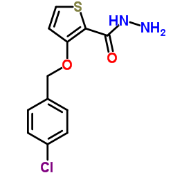 3-[4-氯苄氧基]-2-噻吩卡巴肼结构式