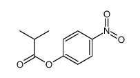 (4-nitrophenyl) 2-methylpropanoate结构式