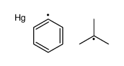 tert-butyl(phenyl)mercury结构式