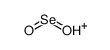 hydroxy(oxo)selanium Structure
