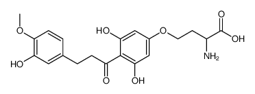 2-amino-4-[3,5-dihydroxy-4-[3-(3-hydroxy-4-methoxyphenyl)propanoyl]phenoxy]butanoic acid Structure