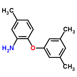 2-(3,5-Dimethylphenoxy)-5-methylaniline Structure