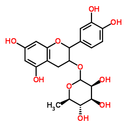 Catechin 3-rhamnoside Structure