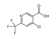 4-Chloro-6-trifluoromethyl-nicotinic acid Structure