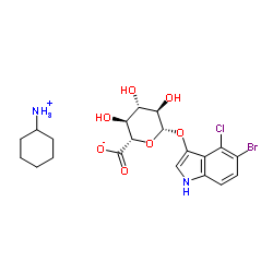 X-glucuronide CHA salt structure