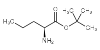 l-norvaline t-butyl ester Structure