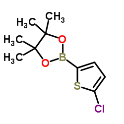 5-氯噻吩-2-硼酸频哪醇酯结构式