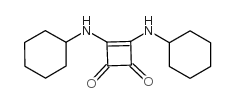 3,4-DI(CYCLOHEXYLAMINO)CYCLOBUT-3-ENE-1,2-DIONE structure