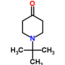 1-tert-Butylpiperidin-4-one Structure