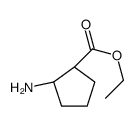(1R,2S)-2-氨基环戊烷甲酸乙酯结构式