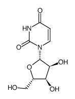 L-Uridine structure