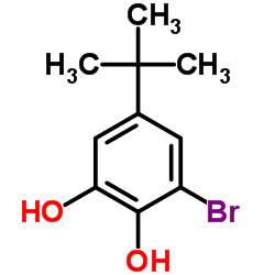 3-溴-5-叔丁基苯-1,2-二醇结构式