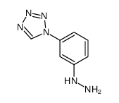 [3-(tetrazol-1-yl)phenyl]hydrazine Structure