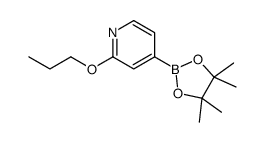 2-(N-Propoxy)pyridine-4-boronic acid pinacol ester结构式