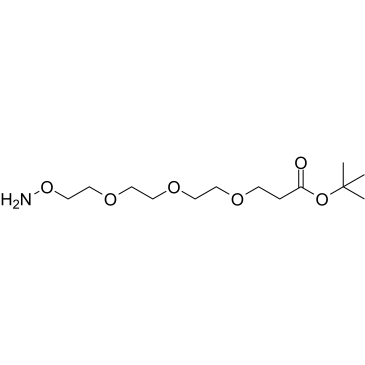 Aminooxy-PEG3-t-butyl ester structure