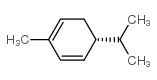(R)-(-)-α-水芹烯结构式