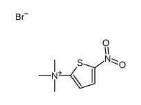 trimethyl-(5-nitrothiophen-2-yl)azanium,bromide Structure