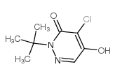 4-氯-2-(1,1-二甲基乙基)-5-羟基-3(2H)-吡嗪酮结构式