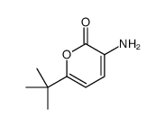 3-amino-6-tert-butylpyran-2-one结构式