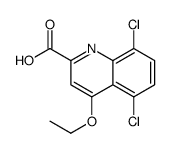 5,8-dichloro-4-ethoxyquinoline-2-carboxylic acid Structure