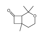 (1S*,6R*,8S*)-(+/-)-2,2,6-trimethyl-3-oxabicyclo(4.2.0)octan-8-ol结构式
