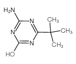 4-氨基-6-叔丁基-1,3,5-三嗪-2-醇结构式
