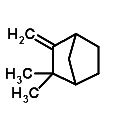 Camphene Structure