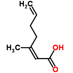 (2Z)-3-Methyl-2,6-heptadienoic acid结构式