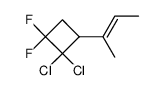2-(2,2-Dichlor-3,3-difluor-cyclobutyl)-but-2c-en结构式