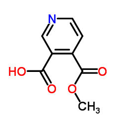 4-(甲氧羰基)吡啶-3-羧酸图片