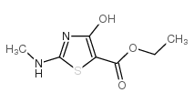 4-羟基-2-甲基氨基噻唑-5-羧酸乙酯结构式