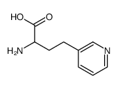 2-amino-4-pyridin-3-ylbutanoic acid Structure