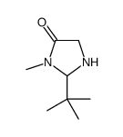 2-tert-butyl-3-methylimidazolidin-4-one结构式