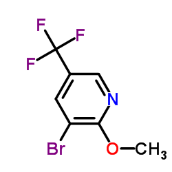 3-Bromo-2-methoxy-5-(trifluoromethyl)pyridine picture