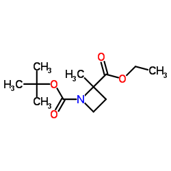 1-乙基2-甲基2-甲基氮杂环丁烷-1,2-二羧酸叔丁酯结构式
