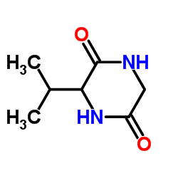 3-异丙基-吡咯烷-2,5-二酮结构式
