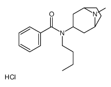 N-butyl-N-(8-methyl-8-azabicyclo[3.2.1]oct-3-yl)benzamide hydrochlorid e结构式