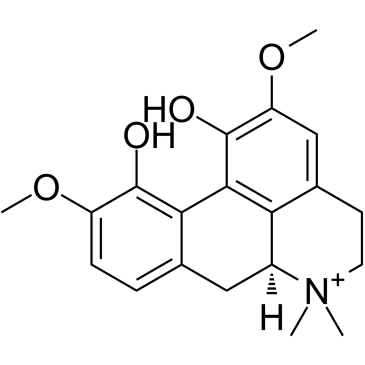 Magnoflorine Structure