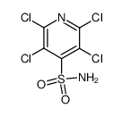 2,3,5,6-tetrachloropyridine-4-sulfonamide Structure