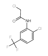 2-氯-N-(2-氯-5-(三氟甲基)苯基)乙酰胺结构式