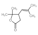 5,5-dimethyl-4-(2-methylprop-1-enyl)oxolan-2-one Structure
