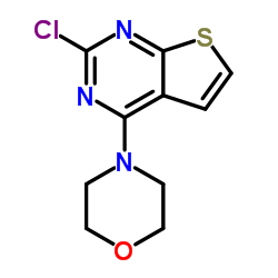 2-氯-4-吗啡啉基噻吩并[2,3-D]嘧啶图片