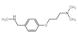 N,N-dimethyl-3-[4-(methylaminomethyl)phenoxy]propan-1-amine结构式