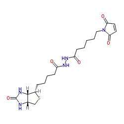 生物素-马来酰亚胺结构式