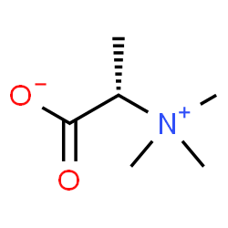 [S,(-)]-2-(Trimethylaminio)propanoic acid ion Structure