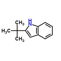 2-(tert-butyl)indole Structure