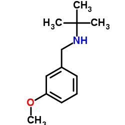 N-(3-Methoxybenzyl)-2-methyl-2-propanamine Structure