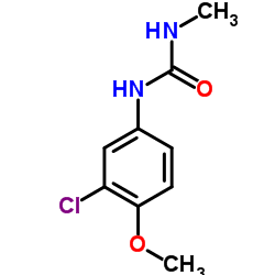 1-(3-Chloro-4-methoxyphenyl)-3-methylurea Structure